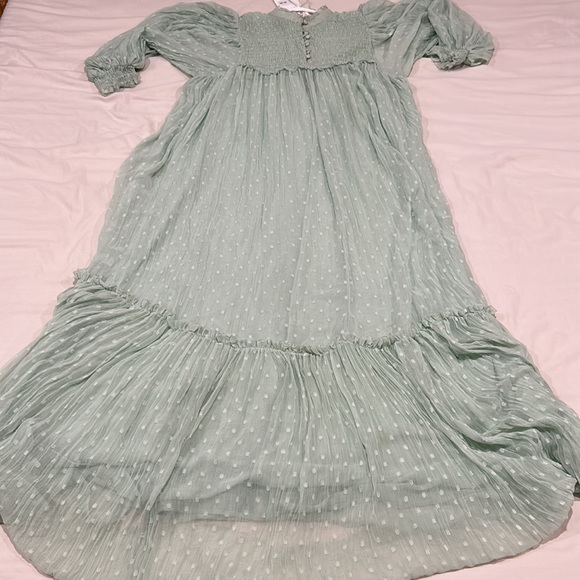Zara Mint Green Plumetis Maxi The Gladis Dress - Picture 11 of 11